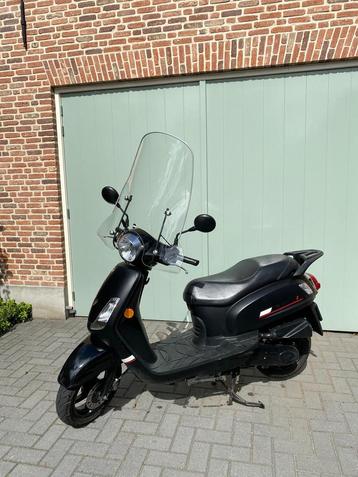 Sym Fiddle 2 - Mat Zwart - 2023 beschikbaar voor biedingen