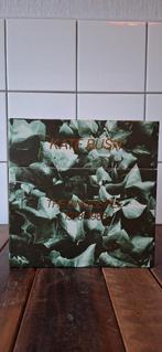 Kate Bush The Single File, Verzenden, Zo goed als nieuw, Cd of Plaat