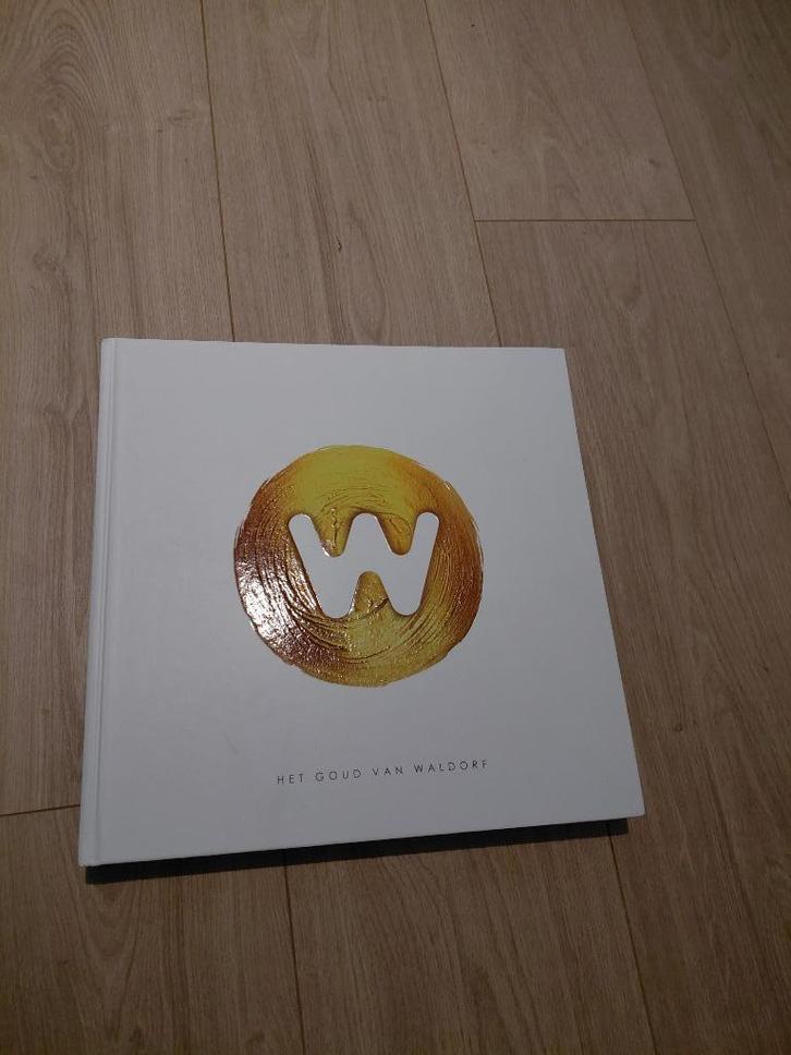 Het goud van Waldorf, Boeken, Studieboeken en Cursussen, Zo goed als nieuw, HBO, Beta, Ophalen of Verzenden