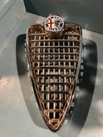 Alfa Romeo 2600 Berlina grill, Auto-onderdelen, Ophalen of Verzenden, Alfa Romeo