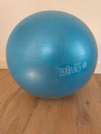 Zitbal Gymnic plus 65cm, Ophalen of Verzenden, Gebruikt