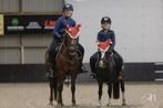 2 Lieve pony's B-pony Namara en Donkere vos D-pony Donja, Merrie, Springpony, B pony (1.17m tot 1.27m), 11 jaar of ouder