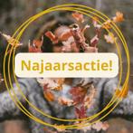 Najaarsactie: alle planten 25 tot 50% korting, Ophalen of Verzenden, Overige soorten, Volle zon