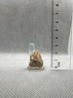 Aquamarijn op orthoklaas en mica, Verzamelen, Mineralen en Fossielen, Ophalen of Verzenden, Mineraal