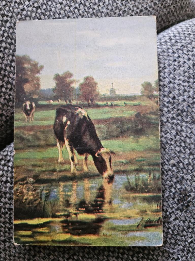 Oude Ansichtkaart met Koeien en Landschap, Ophalen of Verzenden, Voor 1920, Gelopen, Natuur