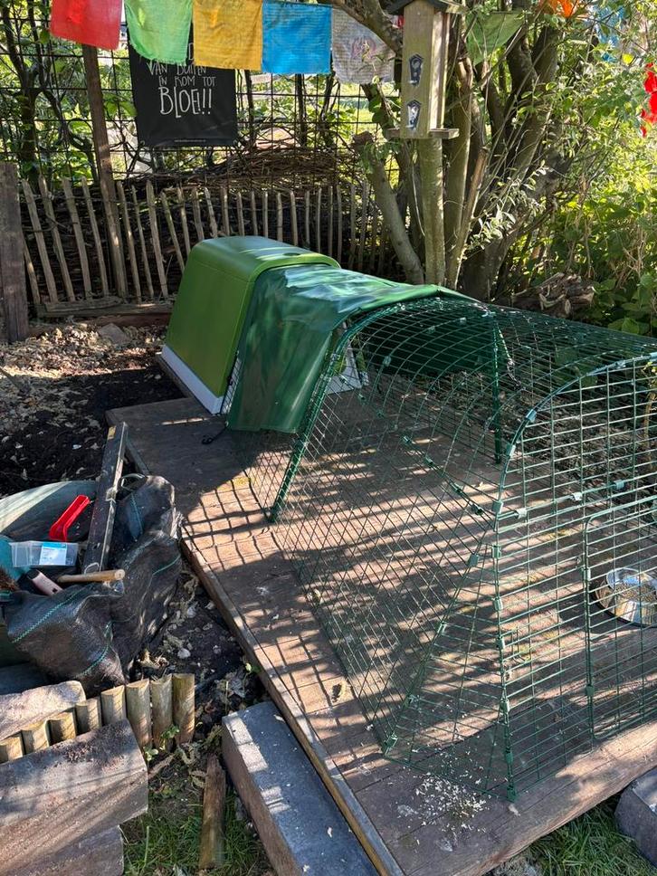Omlet eglu go kippenhok met ren en dekzeil, Dieren en Toebehoren, Pluimvee | Toebehoren, Zo goed als nieuw, Kippenhok of Kippenren