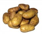aardappelen te koop dore frieslander bildstar nicola, Nieuw, Ophalen