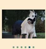 Hb showtime deken met bontkraag 205, Dieren en Toebehoren, Ophalen of Verzenden, Nieuw