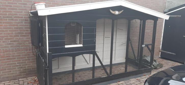 Gebruikte Kippen of vogelvoliere, Dieren en Toebehoren, Pluimvee, Kip, Meerdere dieren