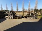 Partij blokpallets stookhout te koop, Ophalen, Gebruikt, 100 cm of meer, Overige typen