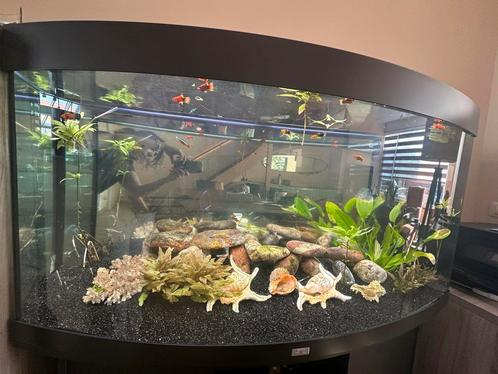 Aquarium, Cabinet and Fish, Dieren en Toebehoren, Vissen | Aquaria en Toebehoren, Zo goed als nieuw, Leeg aquarium, Ophalen of Verzenden