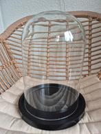 Grote glazen stolp, Huis en Inrichting, Woonaccessoires | Stolpen, Ophalen of Verzenden, Nieuw