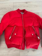 Orginele Dsquared2 rode winterjas voor heren, Kleding | Heren, Ophalen, Zo goed als nieuw, Rood, Dsquared2