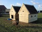 Nostalgische varken geiten kippenhok, Geslacht onbekend, Geit