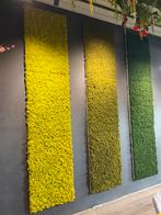 Mos panelen 3 kleuren 3x3 panelen 1m2 per stuk, Ophalen