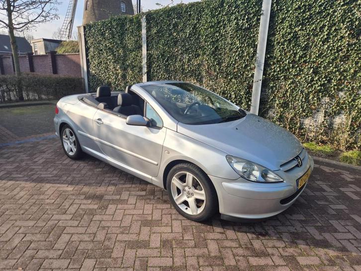 Peugeot 307 CC 2.0-16V, Auto's, Peugeot, Bedrijf, Te koop, ABS, Airbags, Airconditioning, Alarm, Boordcomputer, Centrale vergrendeling