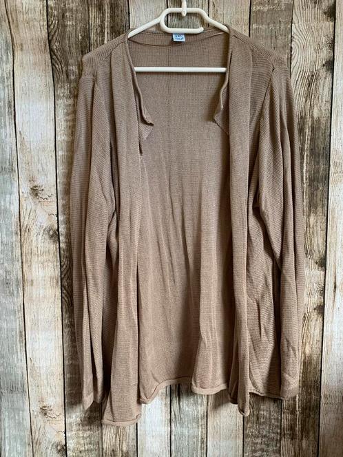 Leuk opengewerkt vest (Maat 3XL), Kleding | Dames, Grote Maten, Gedragen, Trui of Vest, Overige kleuren, Verzenden