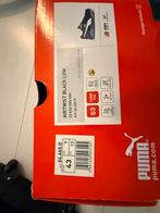 Werk schoenen, Tuin en Terras, Werkkleding, Ophalen, Zo goed als nieuw, Heren, Schoenen