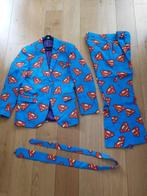Carnavalskleding en Feestkleding themakleding, Ophalen of Verzenden, Gedragen