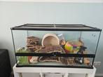 Exo terra 90x 45x60, Dieren en Toebehoren, Kooi, Gebruikt, Hamster, 75 tot 110 cm