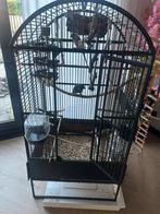 tamme pyrrhura incl kooi toebehoren, Ophalen of Verzenden, Zo goed als nieuw, Vogelkooi