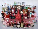 40 Zoete Zomer Drankjes., Verzamelen, Ophalen of Verzenden