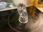 Uil kristal hoog 10 cm, Antiek en Kunst, Ophalen of Verzenden