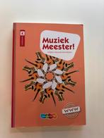 Rinze van der Lei - Muziek Meester!, Rinze van der Lei; Lieuwe Noordam; Frans Haverkort, Ophalen of Verzenden, Zo goed als nieuw