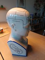 Keramieken  phrenologie Borstbeeld, Ophalen of Verzenden