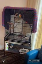 Grote vogel kooi, Dieren en Toebehoren, Vogels | Hokken en Kooien, Ophalen of Verzenden, Zo goed als nieuw, Metaal, Vogelkooi