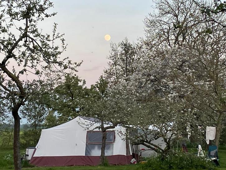 Jamet Jametic 4x4, Caravans en Kamperen, Vouwwagens, Jamet, tot en met 5, Beige, Aanwezig, Ophalen