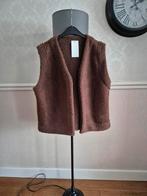 Nieuw bruin dames teddy gilet maat 44 - 46, Kleding | Dames, Bodywarmers, Ophalen of Verzenden, Nieuw, Maat 46/48 (XL) of groter