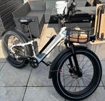 Radpower RadRhino 6 met extra’s rad power rad rhino, Ophalen, Gebruikt, Overige merken
