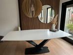 Grote Eettafel met modern stalen onderstel (evt met stoelen), Ophalen, Gebruikt, 100 tot 150 cm, 200 cm of meer