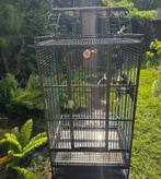 Papegaaienkooi, Dieren en Toebehoren, Vogels | Hokken en Kooien, Ophalen, Zo goed als nieuw, Metaal, Vogelkooi