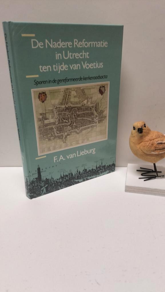 Lieburg, F.A. van; De Nadere Reformatie in Utrecht te, Boeken, Godsdienst en Theologie, Gelezen, Christendom | Protestants, Ophalen of Verzenden