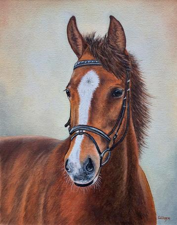 Paarden schilderij - dierenkunst beschikbaar voor biedingen