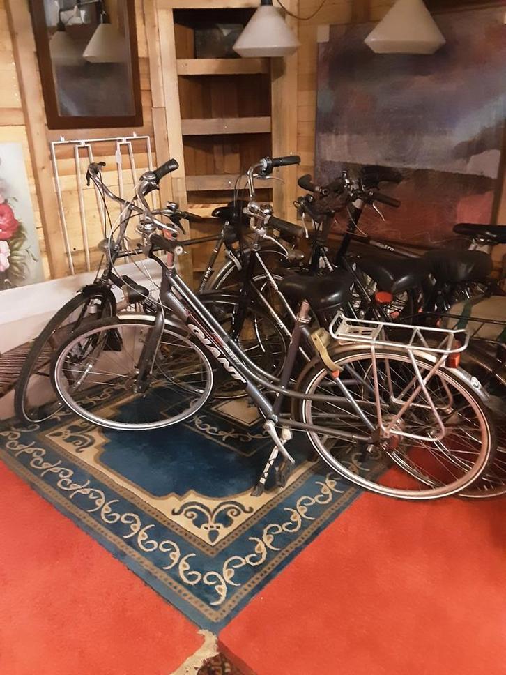 Kringloop Fietsen - Diverse Modellen!, Fietsen en Brommers, Fietsen | Dames | Damesfietsen, Gebruikt, Giant, Versnellingen, 53 tot 56 cm