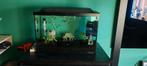 Aquarium met guppen, Dieren en Toebehoren, Ophalen, Gebruikt, Gevuld zoetwateraquarium