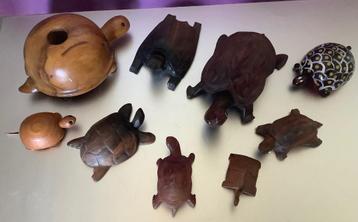 Schildpad minituurtjes beschikbaar voor biedingen