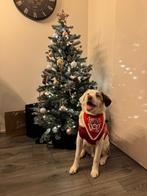 Kerstboom, Diversen, Ophalen of Verzenden, Zo goed als nieuw