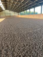 Stalling beschikbaar, Dieren en Toebehoren, Stalling