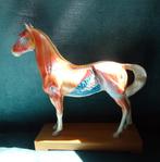 Vintage medisch model van een paard- acupunctuur-educatief, Antiek en Kunst, Ophalen of Verzenden