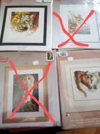 Borduurpakketten met Dmc borduurgaren/borduurzijde 50% af, Hobby en Vrije tijd, Borduren en Borduurmachines, Ophalen of Verzenden