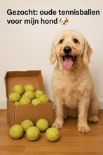 Gezocht: oude tennisballen voor mijn hond, Ophalen, Gebruikt, Hondenballen