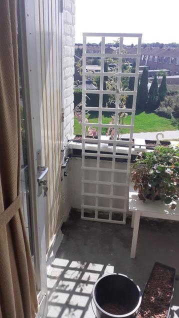 trelis - klimrek voor planten beschikbaar voor biedingen
