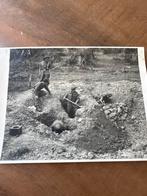 Originele persfoto Britse troepen bij Hottot (net na D-Day), Ophalen of Verzenden, Landmacht, Engeland, Foto of Poster