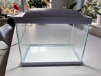 Superfish aquarium, Ophalen, Zo goed als nieuw, Leeg aquarium