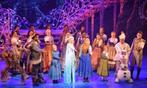 Tickets musical Frozen try-out, Juni, Drie personen of meer