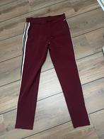 Nieuw! Mi Piace broek maat xxl, Maat 46/48 (XL) of groter, Nieuw, Ophalen of Verzenden, Lang